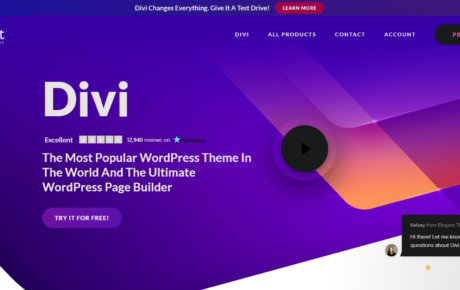 Divi Themes and Divi Builder Review- Is it best for your next project?