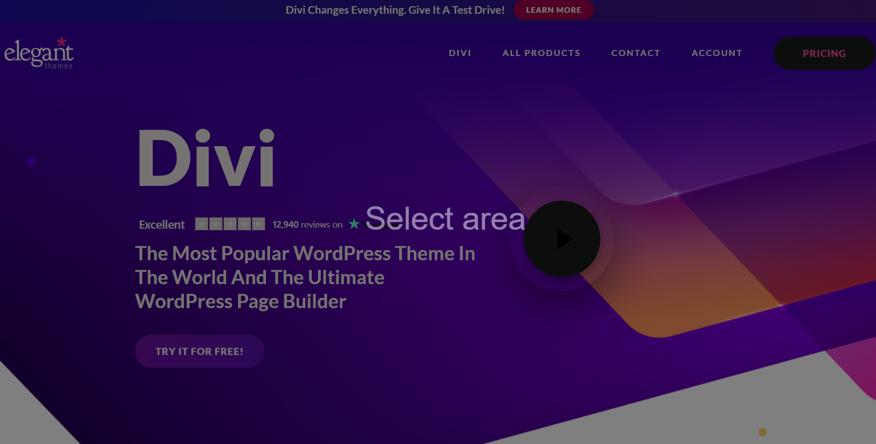 Divi Themes and Divi Builder Review Is it best for 2021?